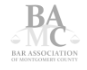 leading lawyers